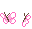 فراشة فراشة