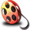 video video