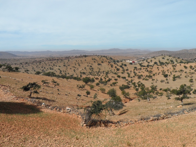 maroc101.jpg
