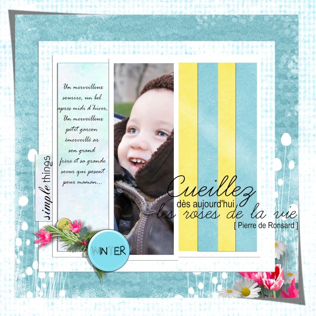 if i was a butterfly kit simplette page sarayane