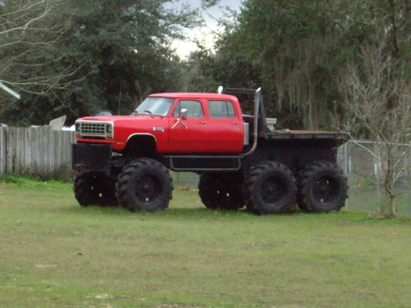 dodgec10.jpg