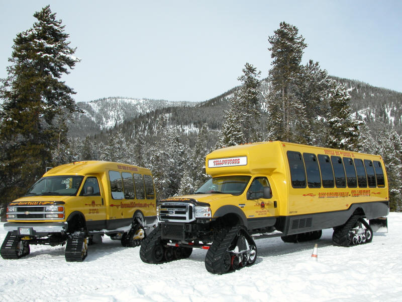 yellow10.jpg