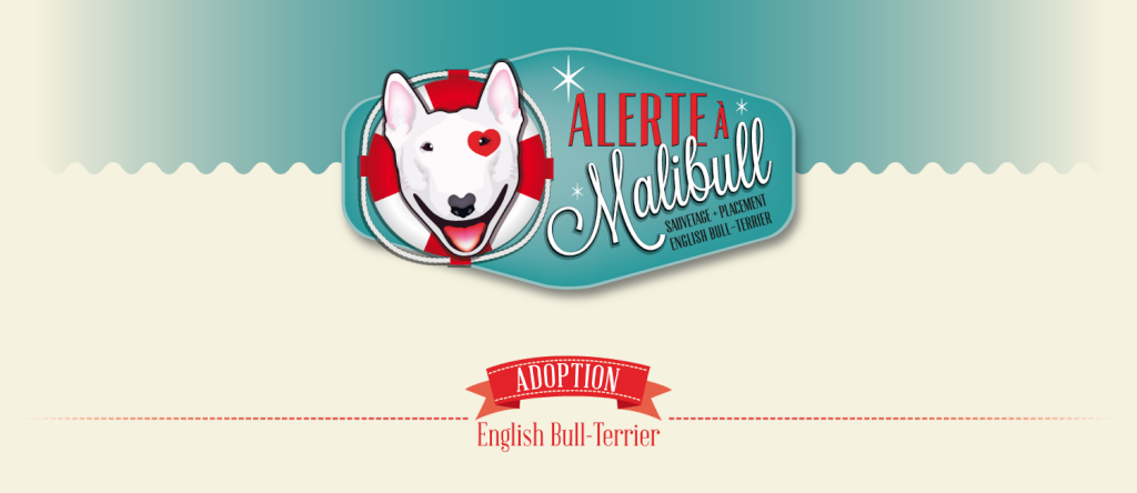 Association Alerte à Malibull
