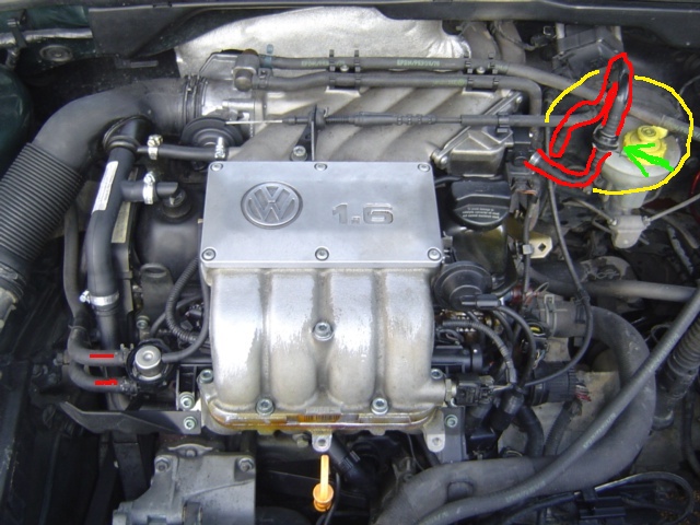 Image Image