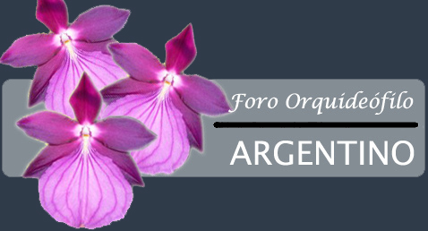 FORO DE ORQUIDÉOFILOS ARGENTINOS