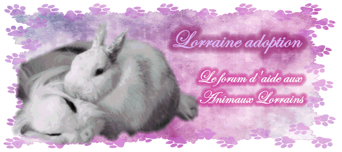 Lorraine Adoption