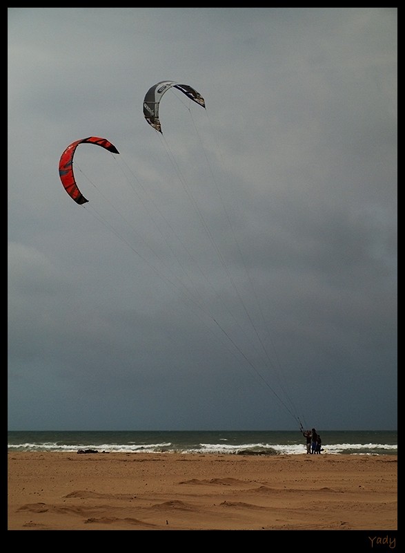 kite_s15.jpg