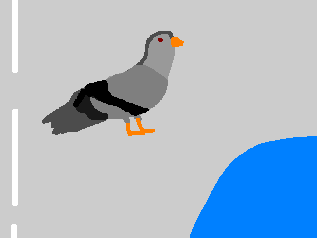 pigeon11.png