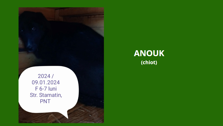 anouk10.png